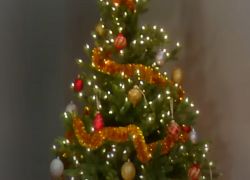 A Special Christmas Gift Idea