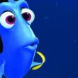 Finding Dori