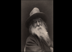 Walt Whitman Poem - Who Learns My Lesson Complete