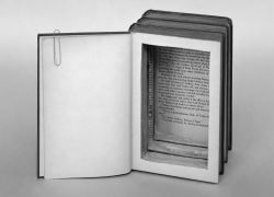 When Novels Mattered