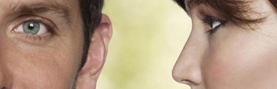 Silver Linings Playbook