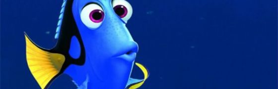 Finding Dori