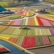 Spring in the Netherlands