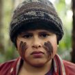 Hunt for the Wilderpeople