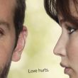 Silver Linings Playbook
