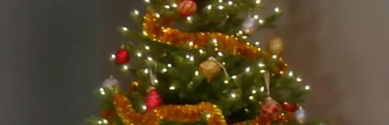 A Special Christmas Gift Idea