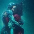 The Shape of Water